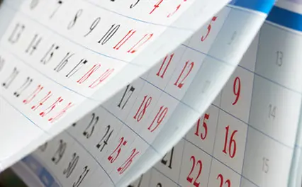 Shipping Schedule